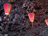 【東京】夜桜ライトアップの名所🌸目黒川の桜並木