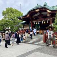 【東京】東京で藤の花といえばの名所