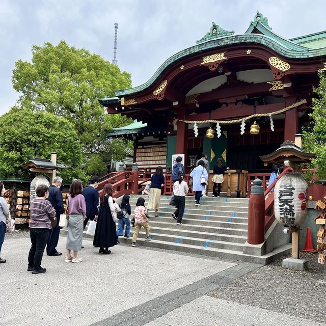 【東京】東京で藤の花といえばの名所