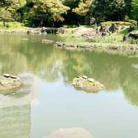 【日本庭園】旧芝離宮恩賜庭園