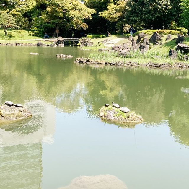 【日本庭園】旧芝離宮恩賜庭園