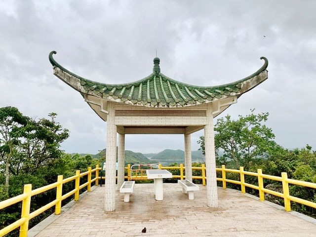高棚頂