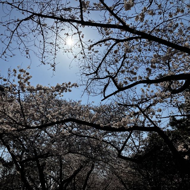 가족여행 추천지 - "울산 대왕암공원"