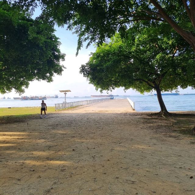Cycling At East Coast Park