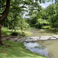 Pinic at Chatuchak park 