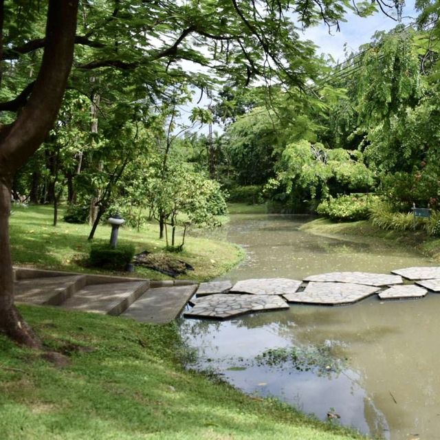 Pinic at Chatuchak park 