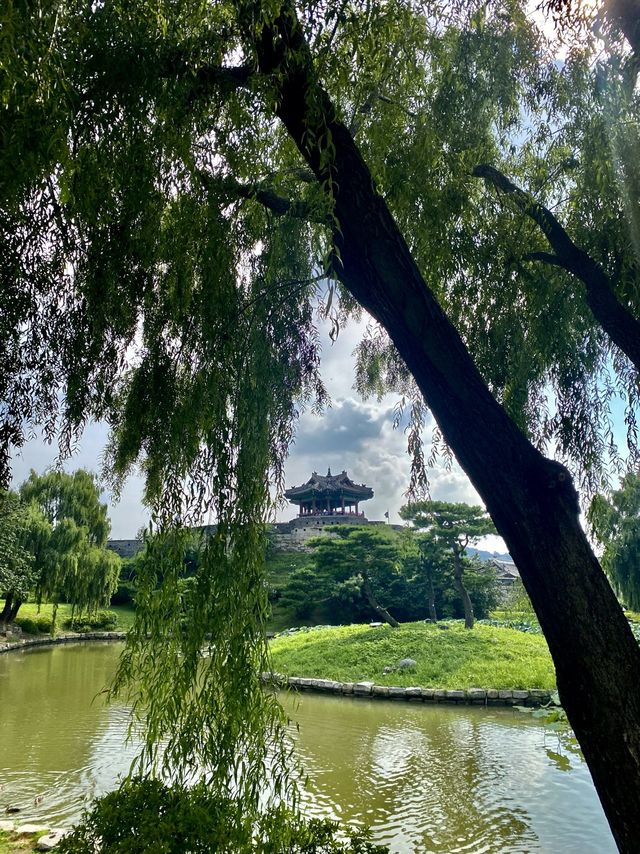 수원에서 하는 피크닉 🧺