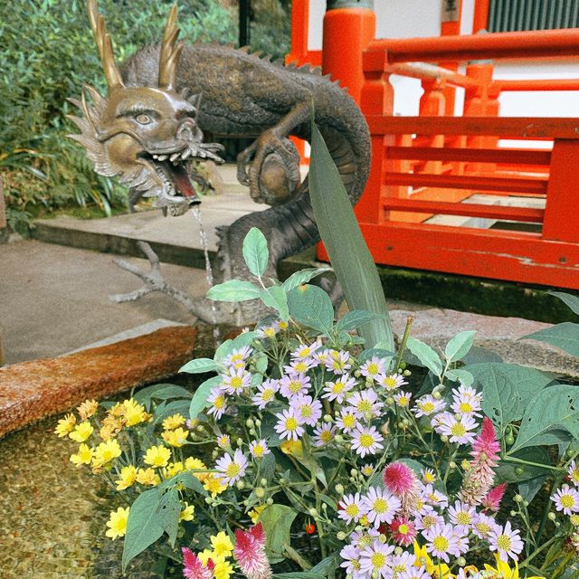 【京都】神秘的な本殿金堂