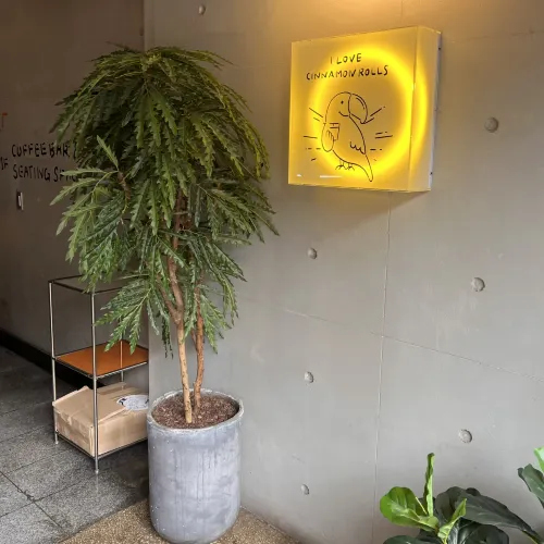 韓国/ソウル【聖水洞】カラフルな外観🌈行列ができるシナモンロールが有名な人気店！