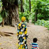 Botanical Gardens of Algiers, Algeria