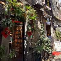Wandering around Tianzifang
