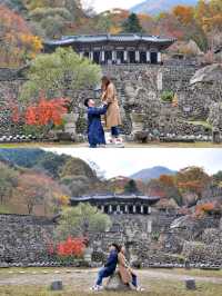 가을의 전설이 시작되는 곳! 경남 하동 삼성궁🍂🍁🏯