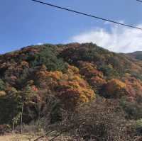 1박 2일 여자혼자여행 지리산 둘레길 3코스