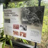 Thomson nature park 