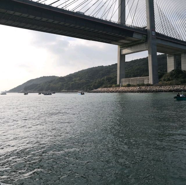 青馬大橋