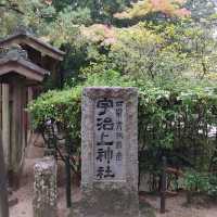 兎に縁のある神社　世界遺産　宇治上神社