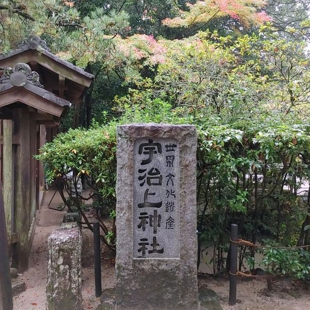 兎に縁のある神社　世界遺産　宇治上神社