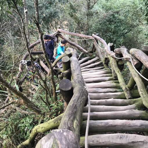 假日好去處/大坑四號步道