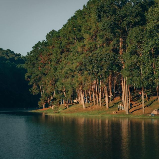 ปางอุ๋ง จ.แม่ฮ่องสอน 🌲🦢