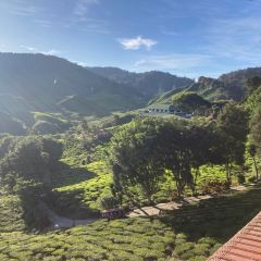 Cameron Valley Tea House 여행 사진