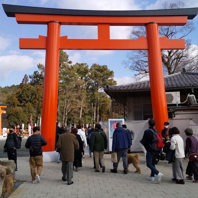 京都上賀茂神社で初詣で。