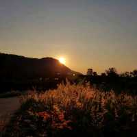 The Paz Khao Yai 