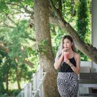 คาเฟ่เขื่อน - Varee Café & Restaurant 🍃