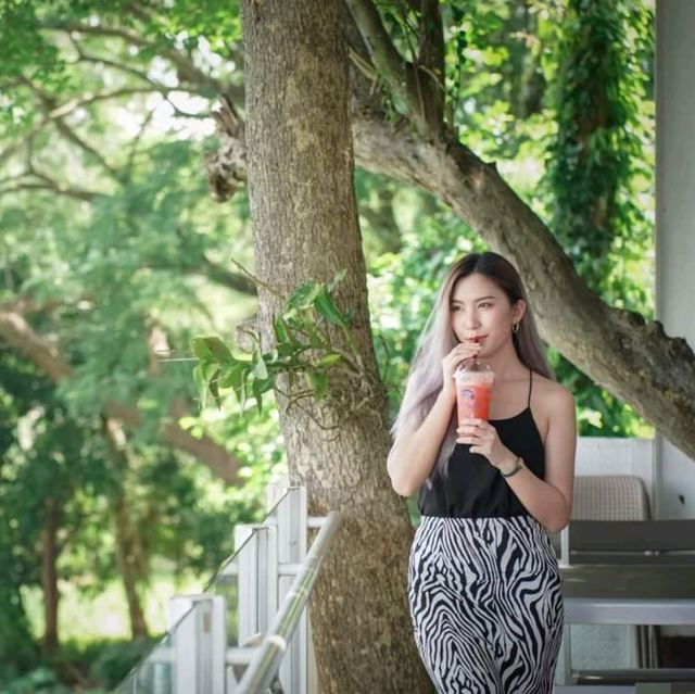 คาเฟ่เขื่อน - Varee Café & Restaurant 🍃