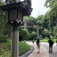 Moments at Meiji-Jingu Shrine, Tokyo