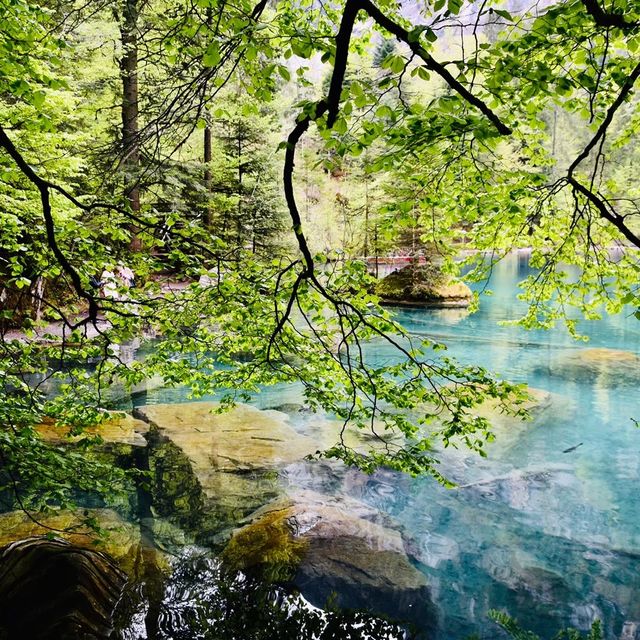 Blausee สะเลสาปสีฟ้า🇨🇭