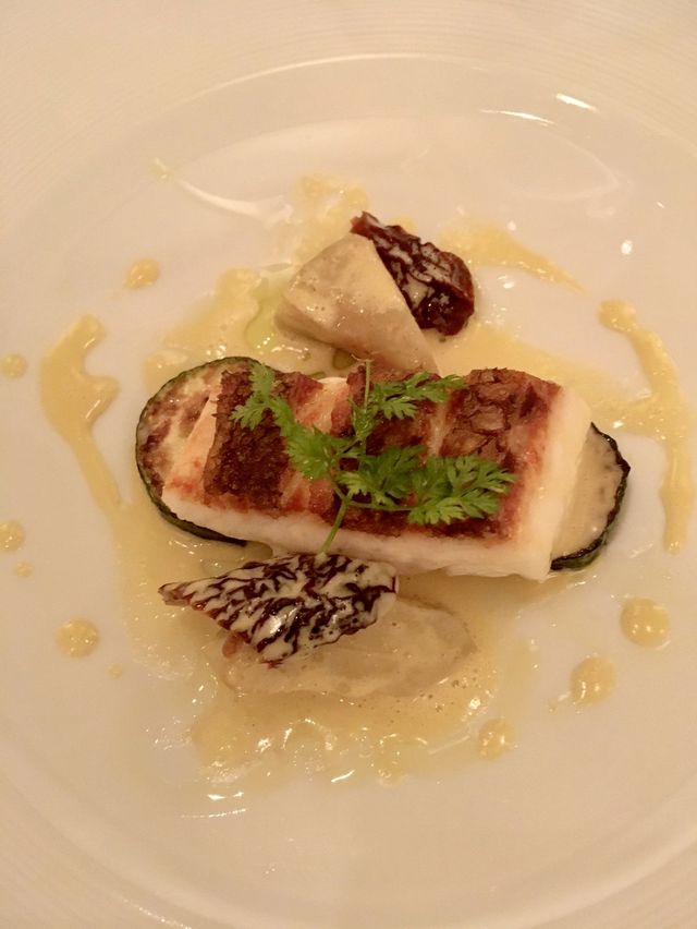 六本木5分🏰ひらまつグループ路地裏の一軒家フレンチ🍽【オーベルジュドリルトーキョー】