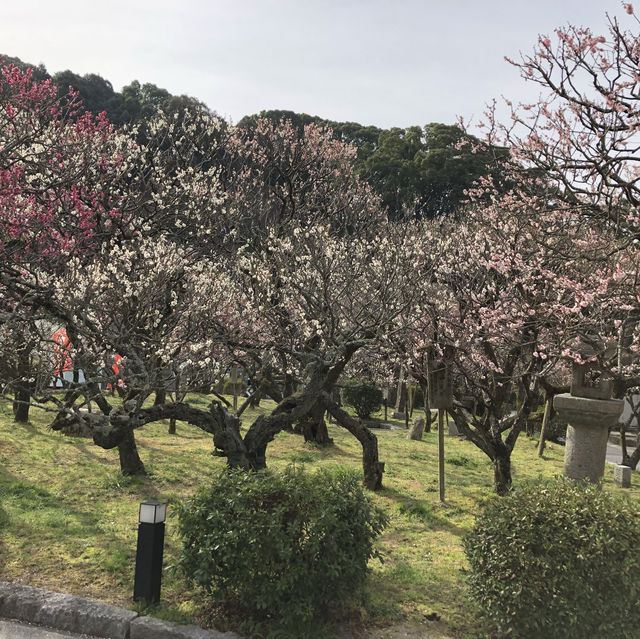 大宰府天満宮