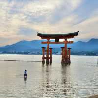 【広島】宮島のベストスポット⛩厳島神社