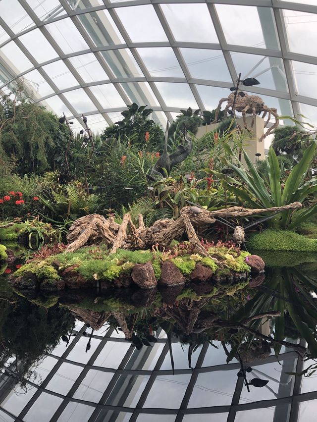 Visit the Cloud Forest when in Singapore! 