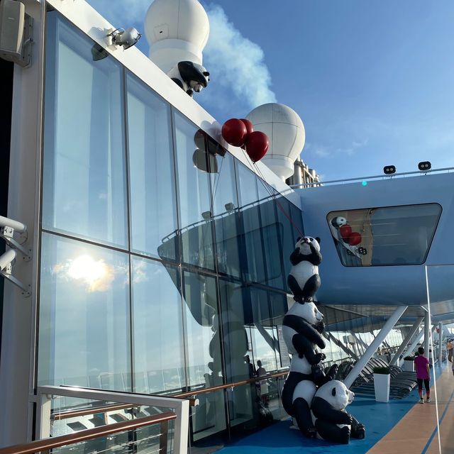 🚢 🐼 Panda on board 