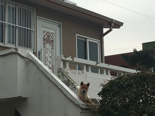 [부산] 감천문화마을 아직도 안가보셨다면 이번 여름 어떤가요!!?