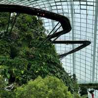 The World Tallest Indoor Waterfall