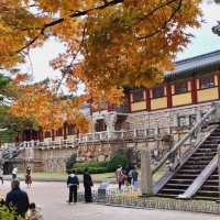 Colours at Bulguksa Temple  Gyeongju