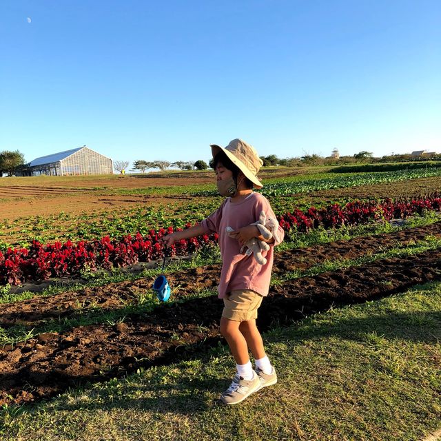 ソレイユの丘で秋を楽しもう🍁🍁🍁