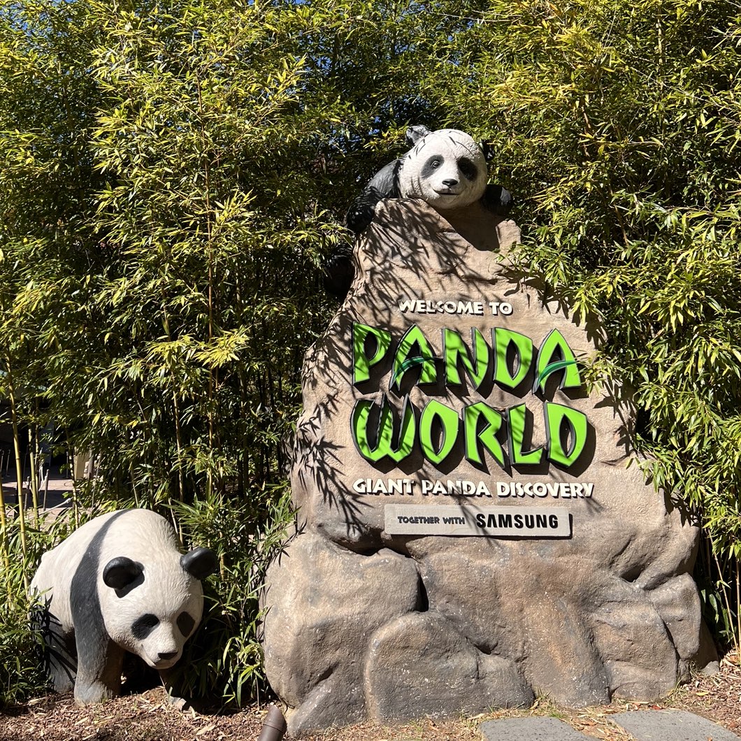 韓国【エバーランド】パンダワールド🐼🌿 | Trip.com 龍仁市