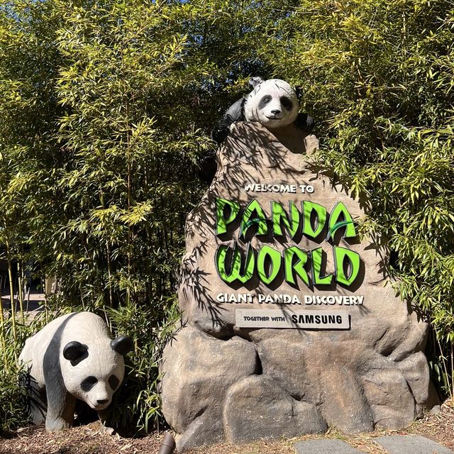 韓国【エバーランド】パンダワールド🐼🌿 韓国【エバーランド】パンダワールド🐼🌿