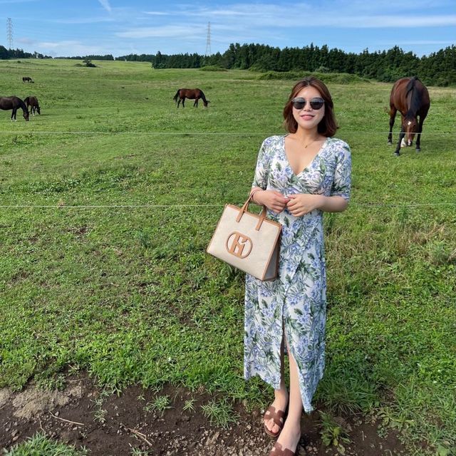 제주도 말을 바로 앞에서?! 성이시돌 목장🐎🌴