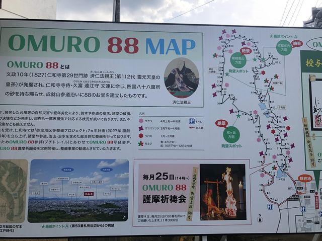 🌸京都 総本山！仁和寺をご紹介