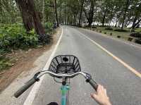 หาดในยาง จ.ภูเก็ต