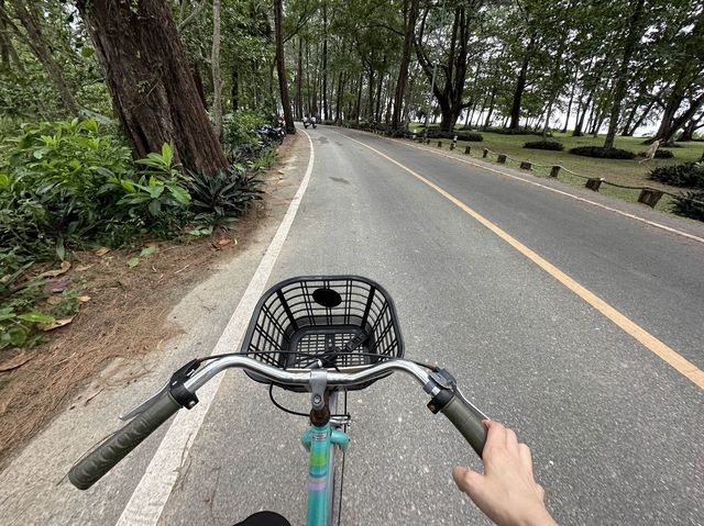 หาดในยาง จ.ภูเก็ต