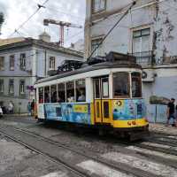 Tram 28 and Cards