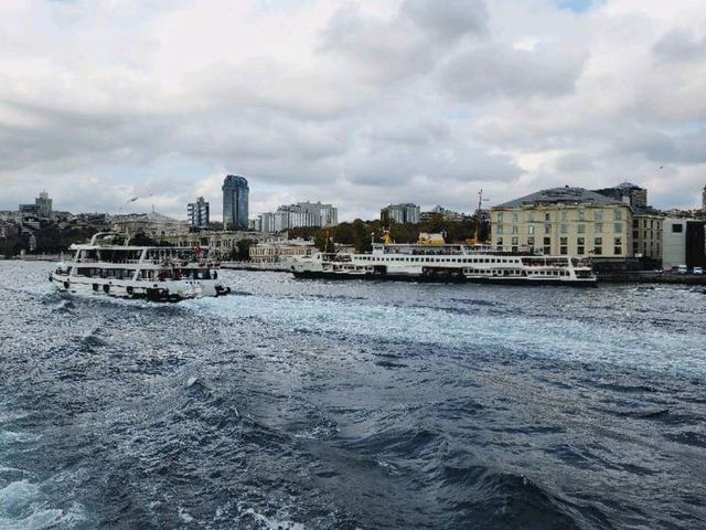 Bosphorus Boat Cruise 