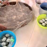 親子好去處：大澳+鹹蛋工作坊