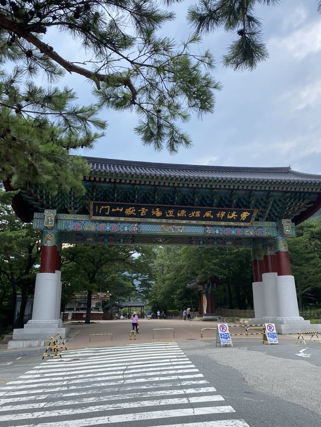 설악산 케이블카타고 인생샷여행하기🚡