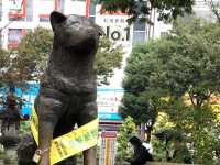 Shibuya Crossing - Busiest Street of World  